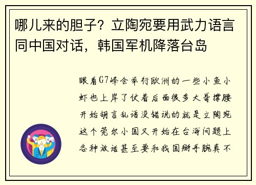哪儿来的胆子？立陶宛要用武力语言同中国对话，韩国军机降落台岛